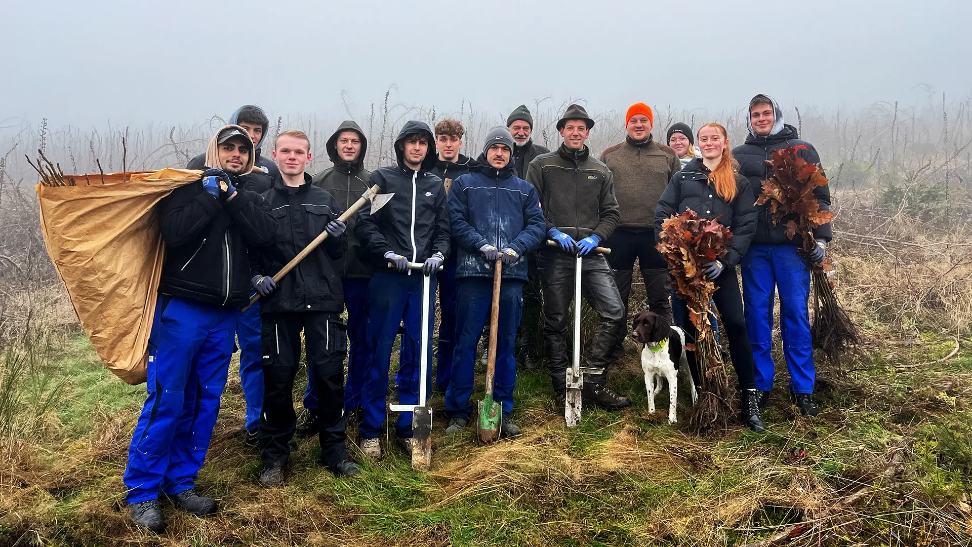 BORBET Baumpflanzaktion im HSK web